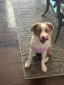 Picture of Cami Wright